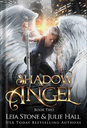 خرید کتاب Shadow Angel: Book Two