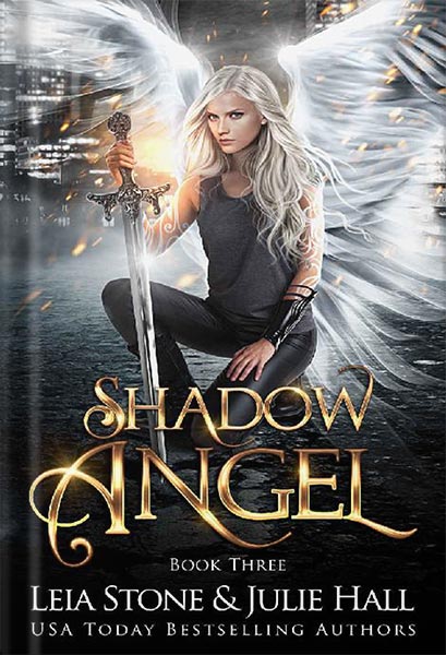 خرید کتاب Shadow Angel: Book Three